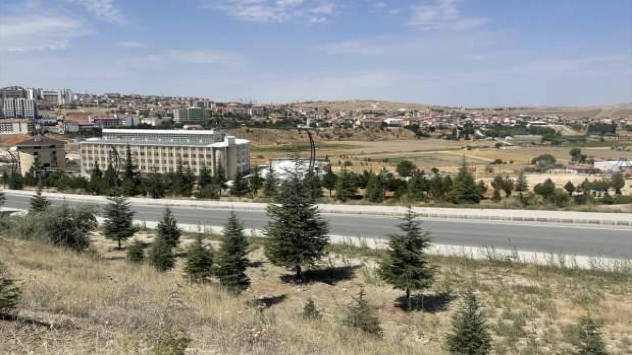 Nevşehir'de kurulacak SERA OSB'de yıllık 40 bin ton sebze